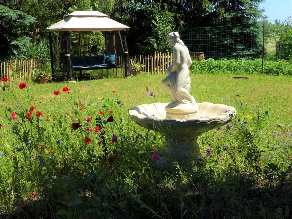 Ferienanlage Waschbaer Country 템플린 외부 사진