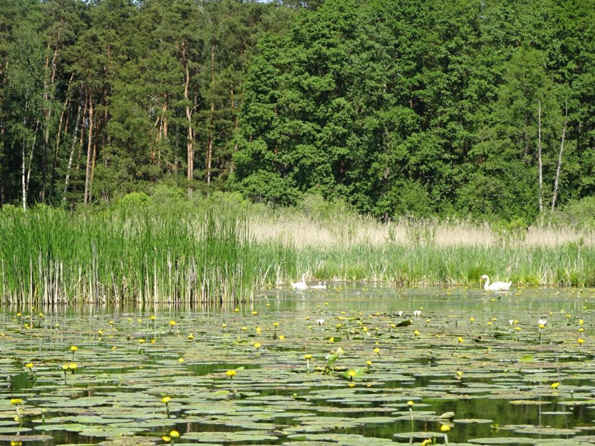 Ferienanlage Waschbaer Country 템플린 외부 사진