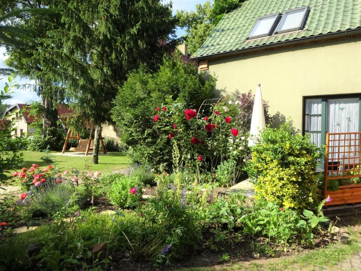 Ferienanlage Waschbaer Country 템플린 외부 사진